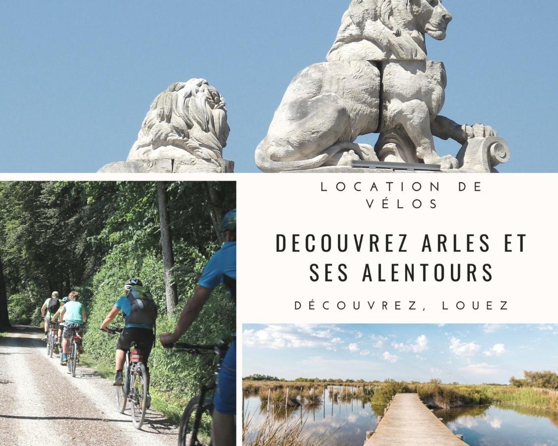 شقة La Terrasse Ensoleillee Arles Camargue المظهر الخارجي الصورة